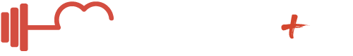light logo